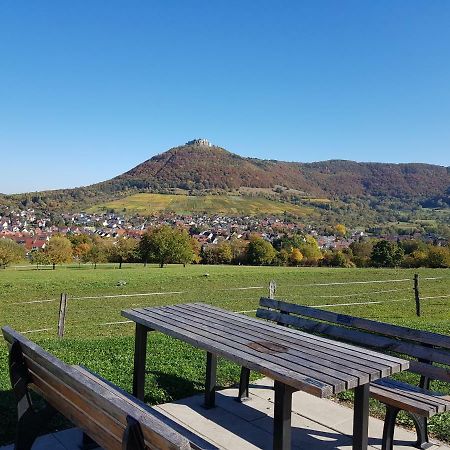 Ferien In Neuffen - Ferienwohnung Plaue Екстериор снимка